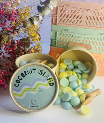 Wax melts (cera para derretir)