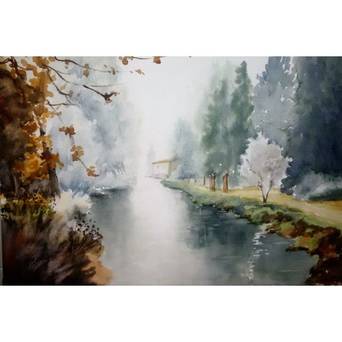 Cencellada en el canal