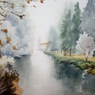 Cencellada en el canal