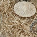 Jabón de Glicerina con Avena y Miel