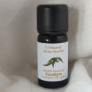 Aceite esencial de eucalipto 100% natural y ecológico – 12 ml