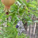 Keychain of intelligence, protection and good luck.